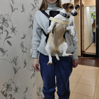 Plecak na psa Mesh kamuflaż Outdoor Travel Products oddychające torby na ramię dla małych psów koty Chihuahua 4